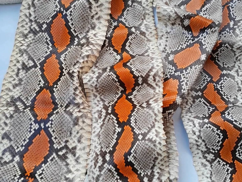 Close-up of python snakeskin texture with gray scales and orange diamond pattern