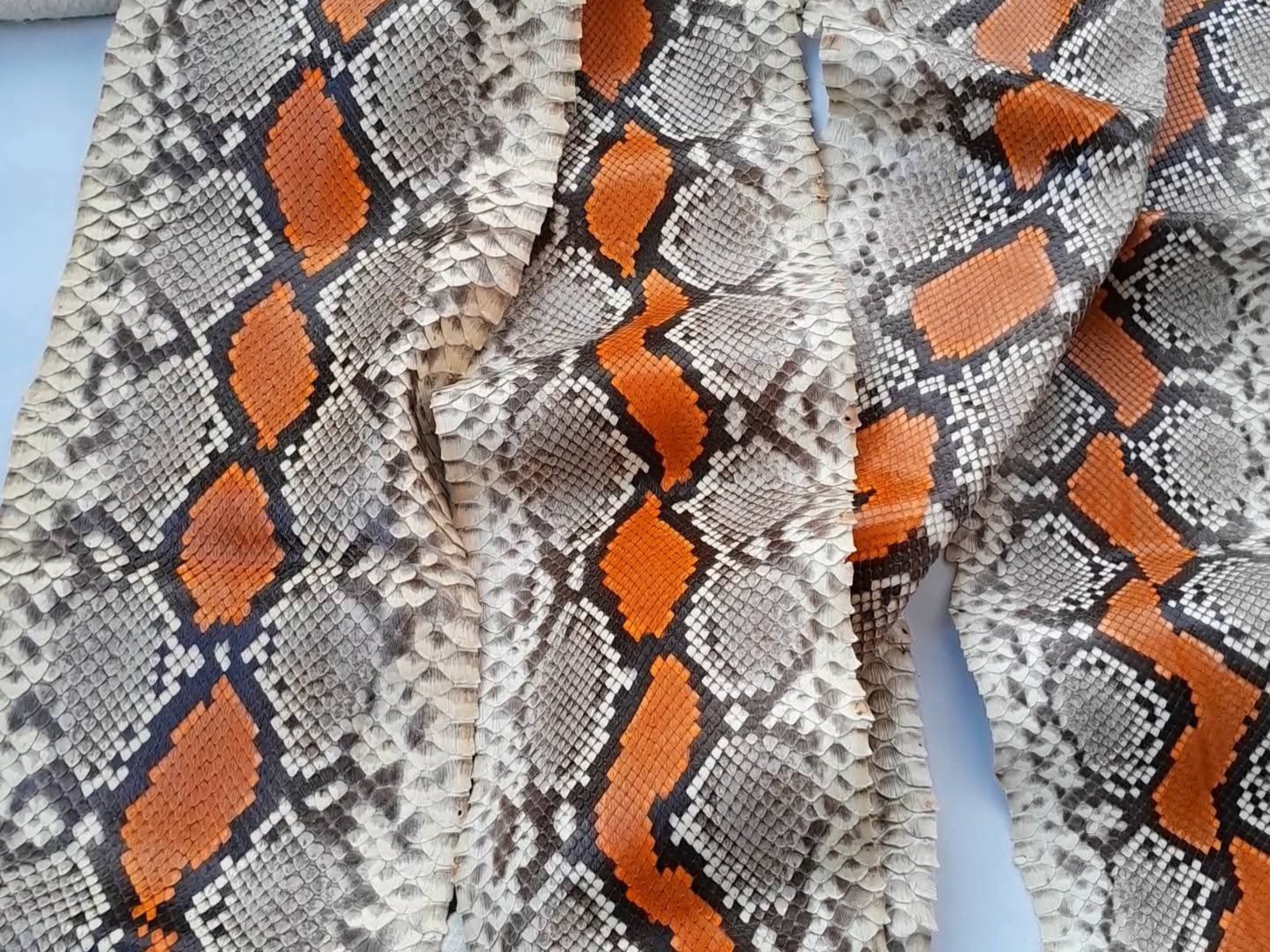 Close-up of python snakeskin texture with gray scales and orange diamond pattern