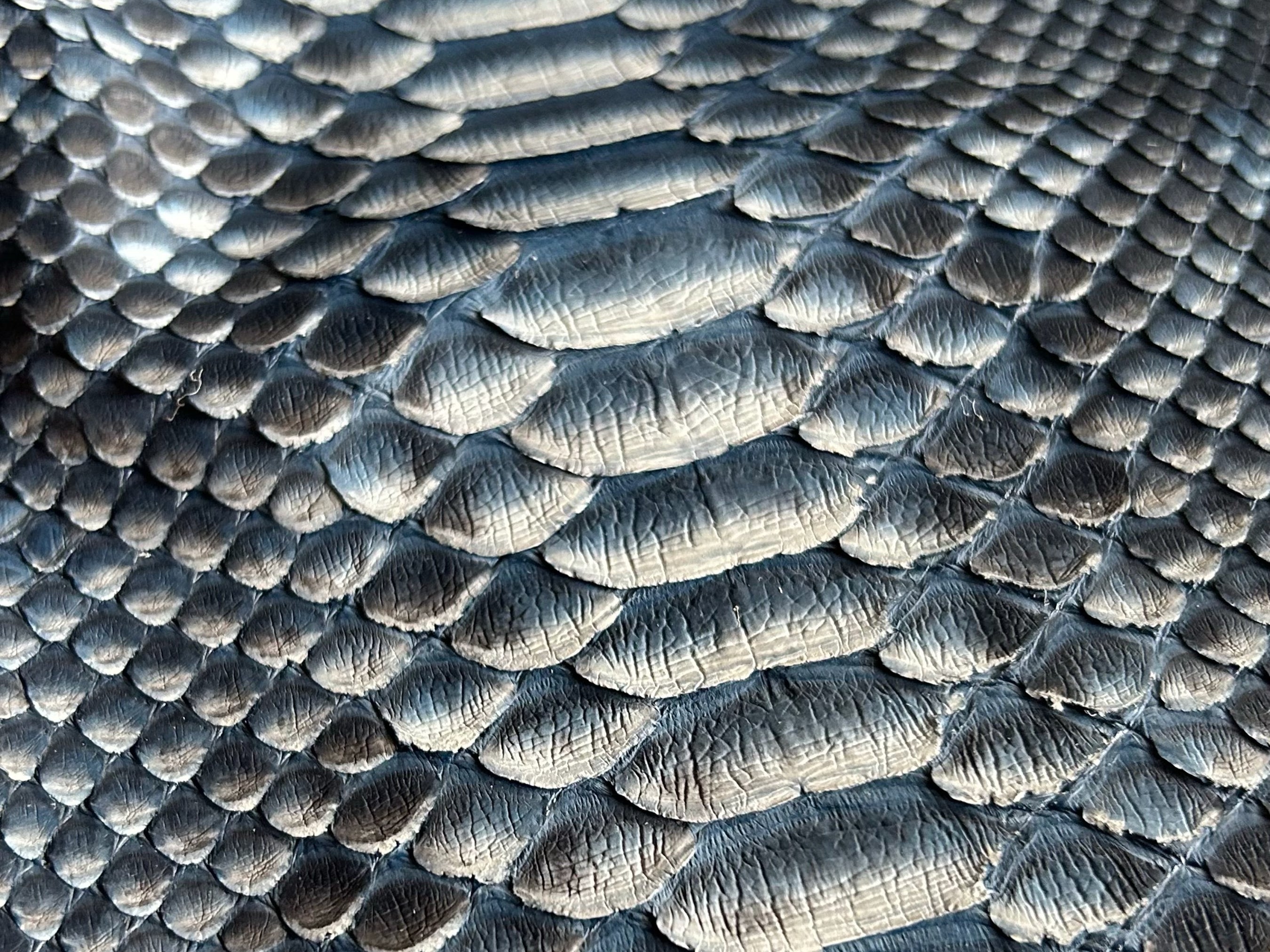 Snakeskin-pattern biker jacket fabric with dark blue gradient texture