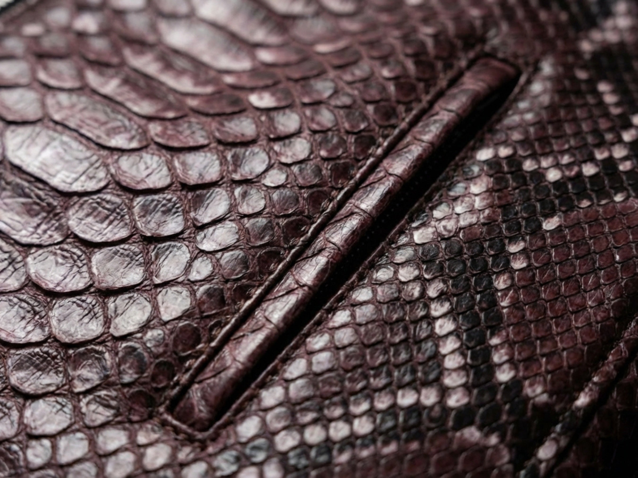 Snakeskin leather biker jacket panel close-up, gradient burgundy and dark trim seams