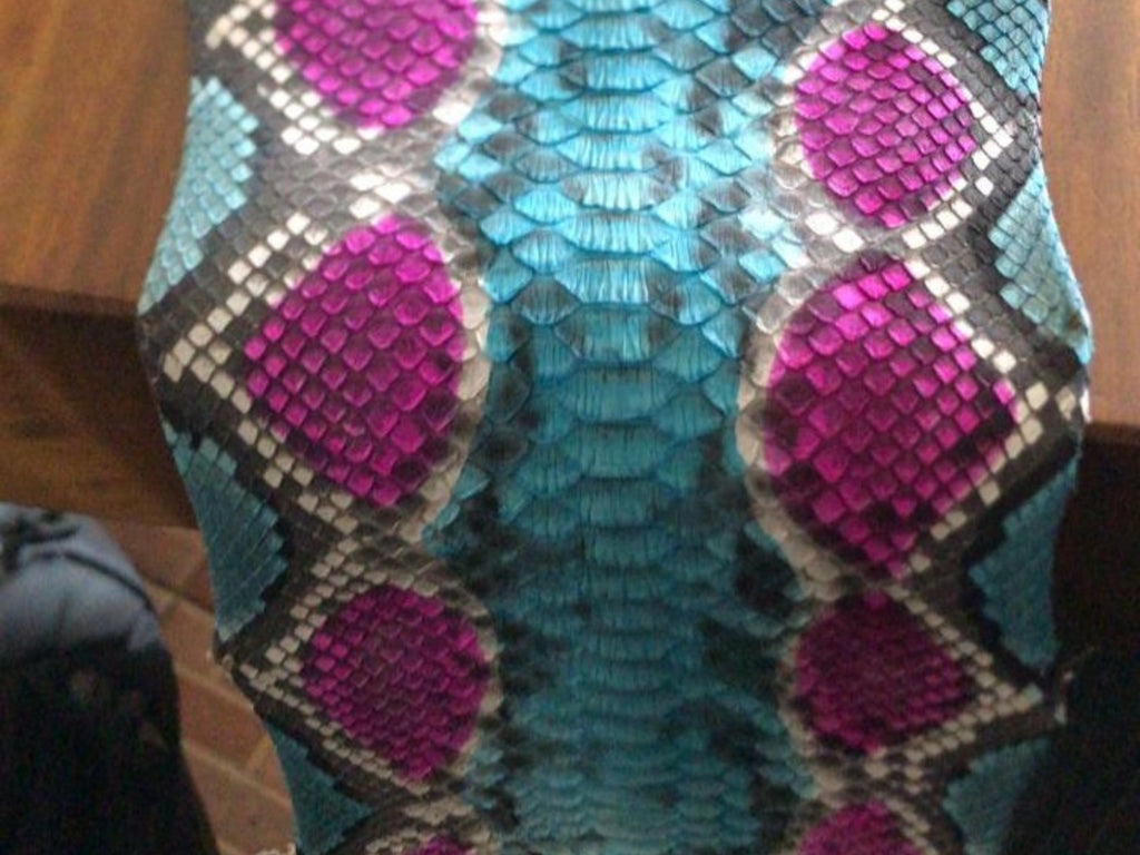 Close-up of multi-color snakeskin pattern on biker leather jacket
