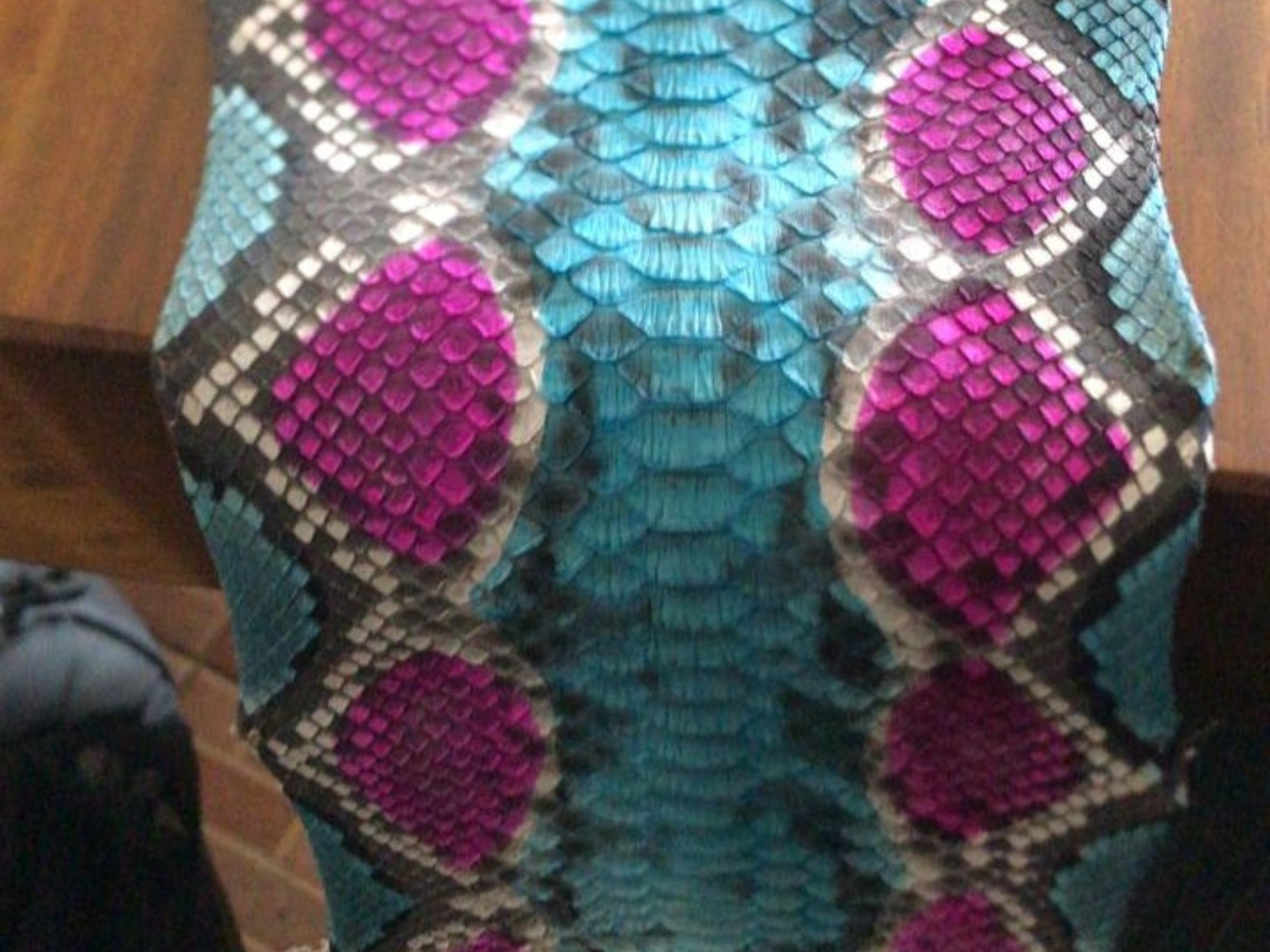 Close-up of multi-color snakeskin pattern on biker leather jacket