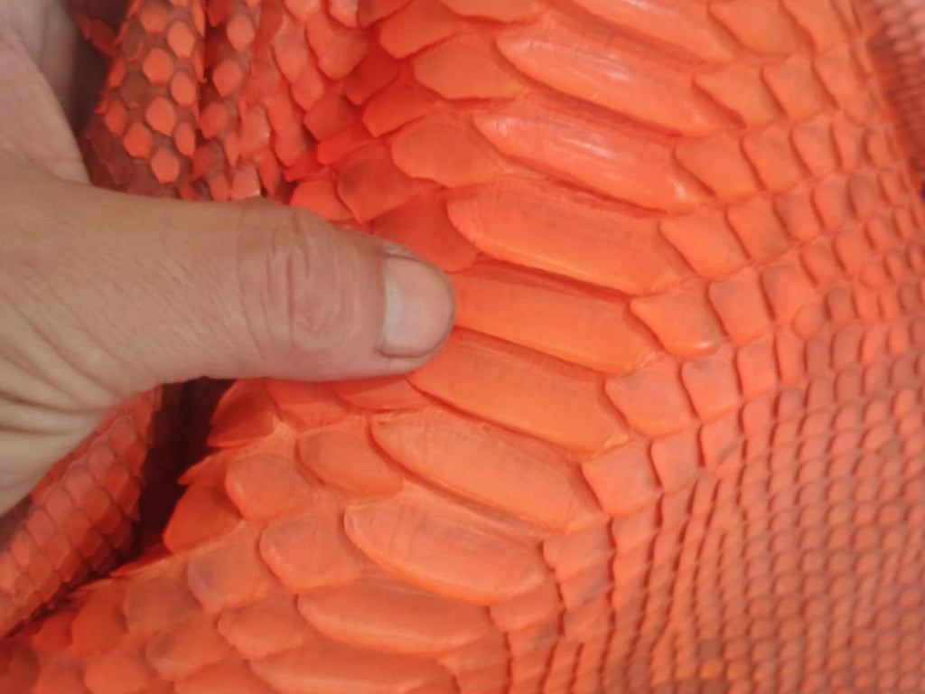 Burnt orange snakeskin leather biker jacket, close-up scaly texture