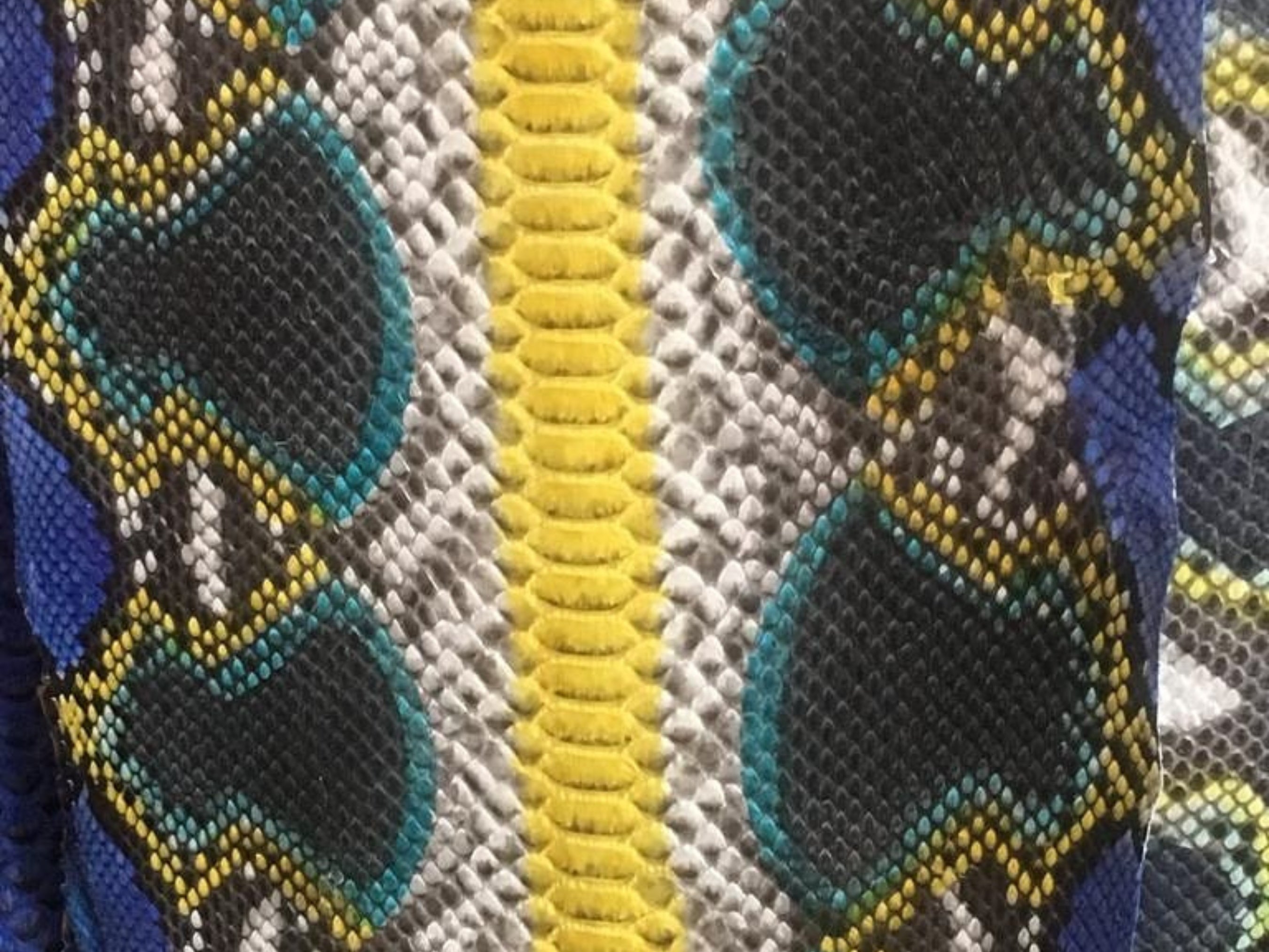 Snakeskin leather pattern close-up in yellow, blue, teal, and dark accents