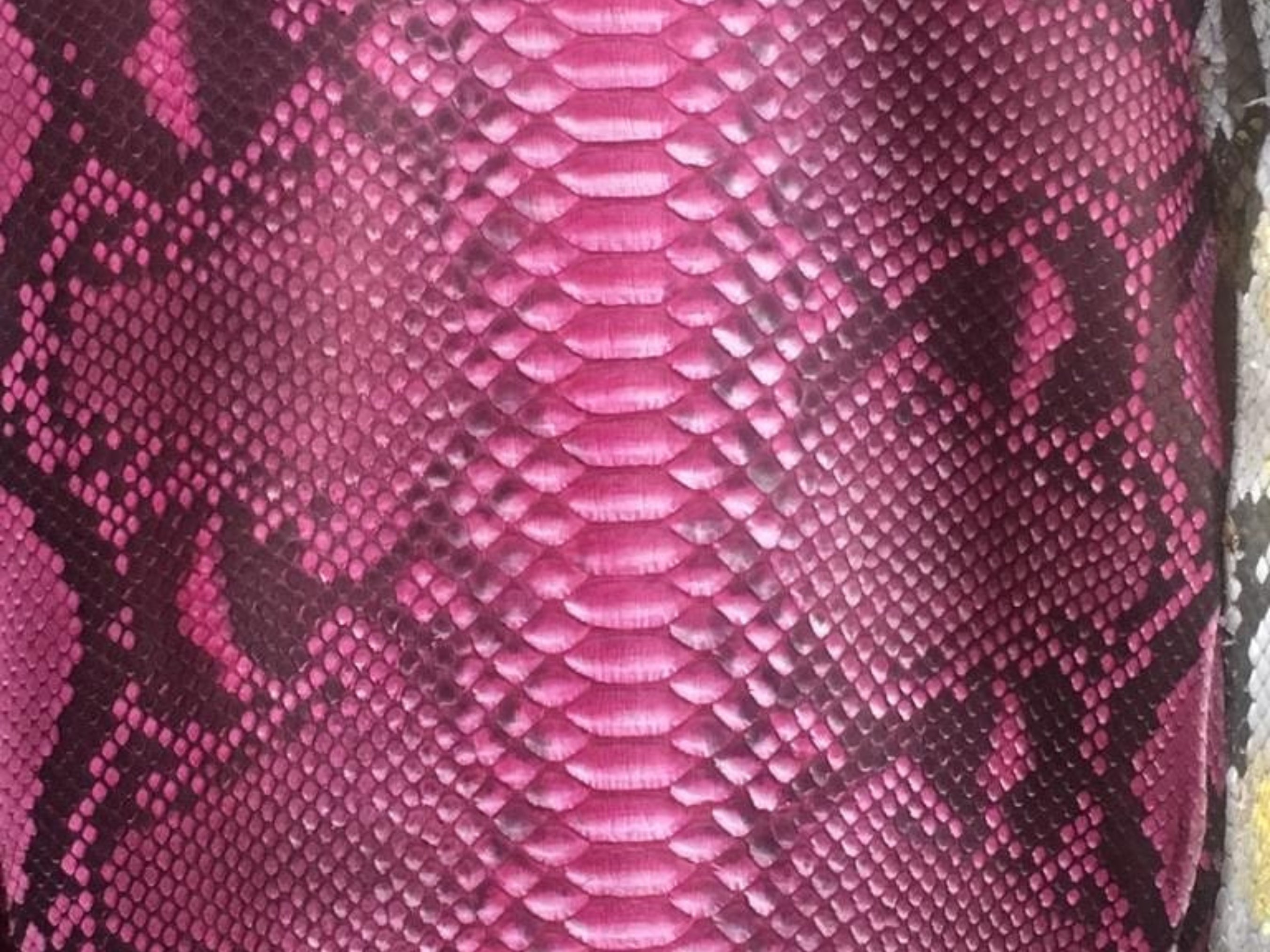 Close-up of pink burgundy snakeskin leather pattern texture with dark scales