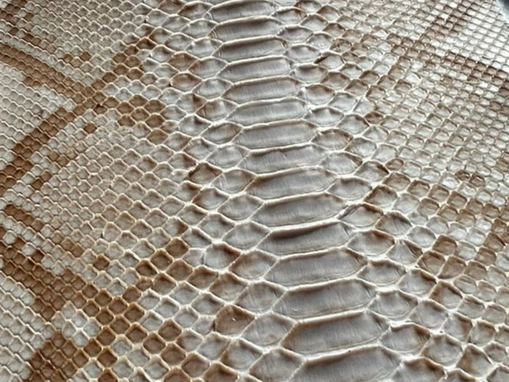 Close-up of taupe beige python snakeskin texture fabric with scaled pattern