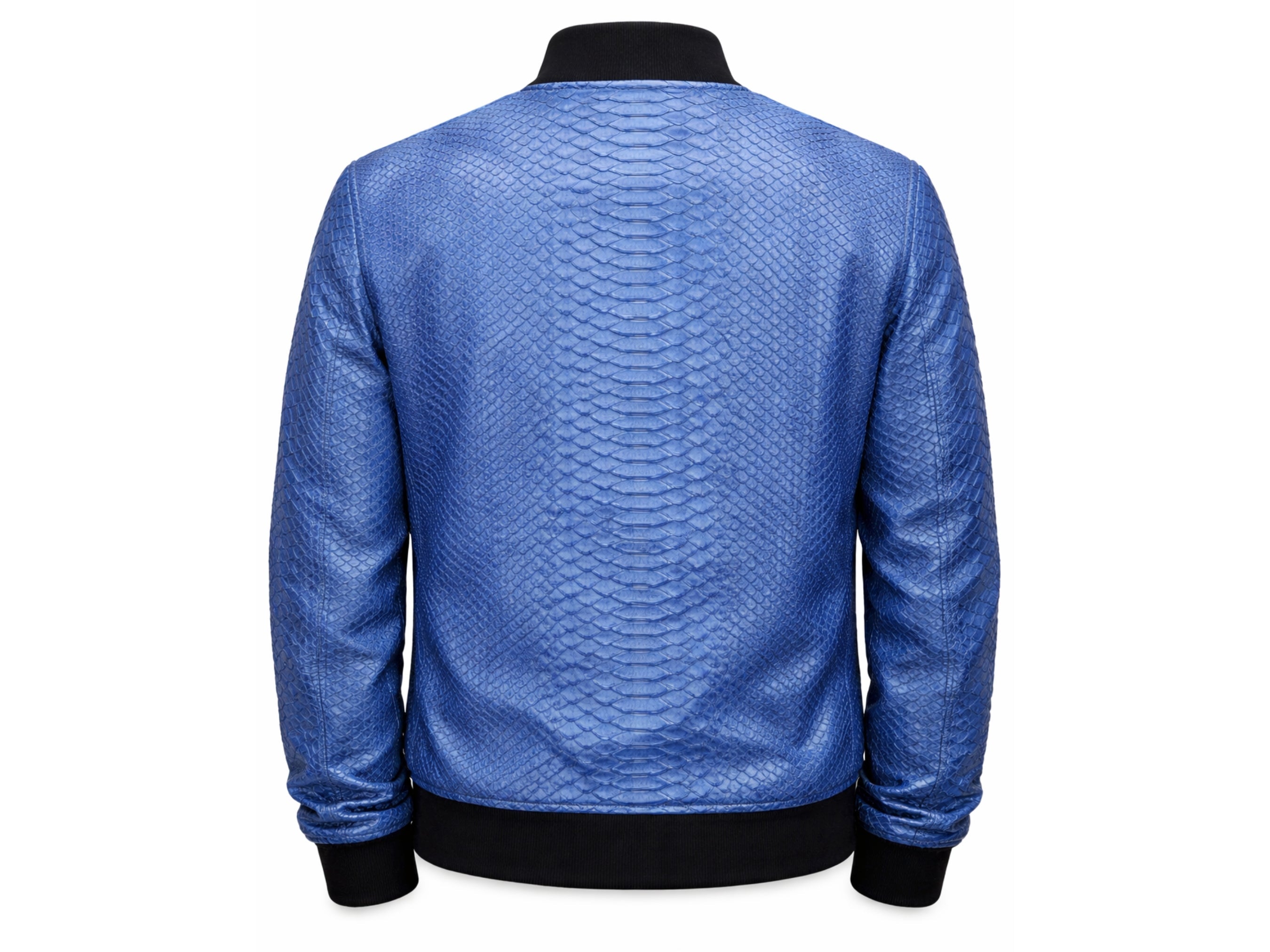Back view of blue snakeskin-textured bomber jacket with black ribbed hem and cuffs