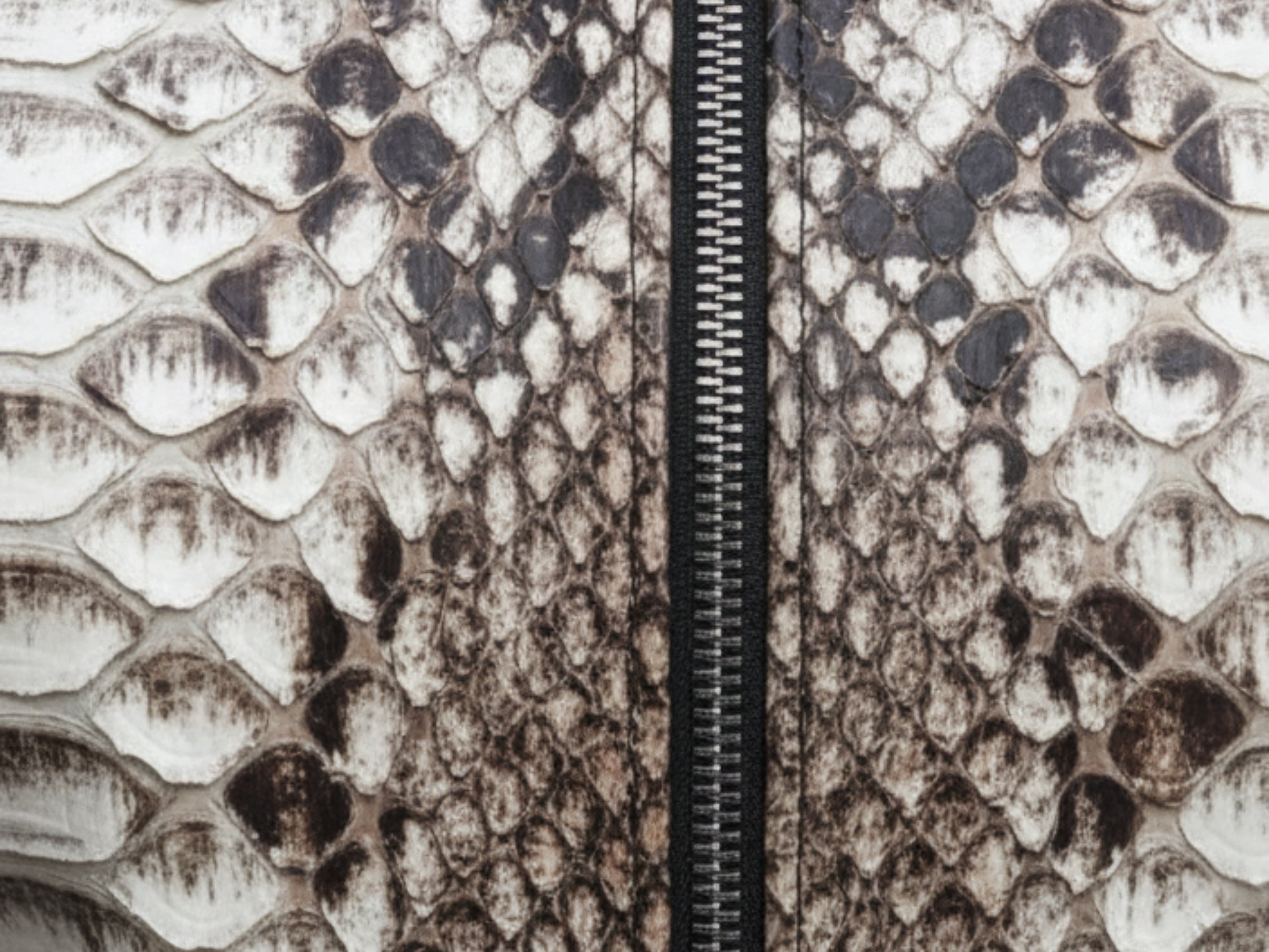 Close-up of gray-brown python-skin texture with black zipper