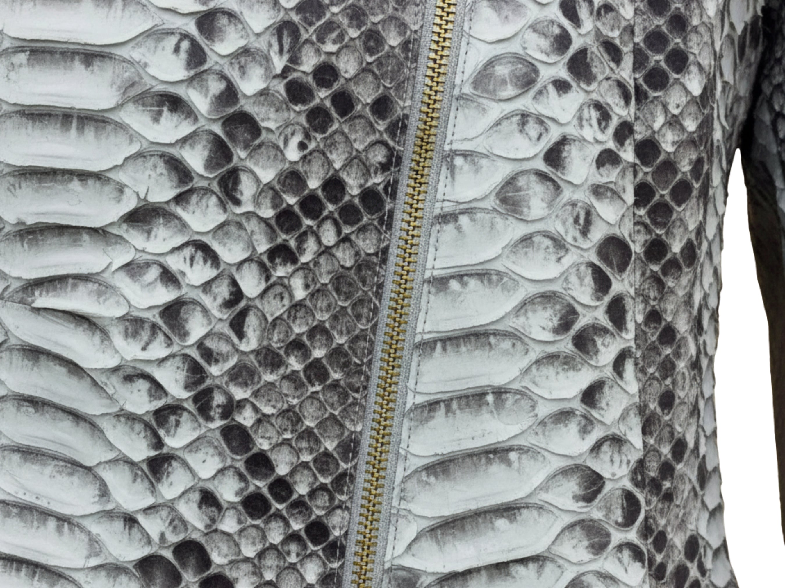 Close-up of gray python snakeskin texture with gold-toned asymmetrical zipper