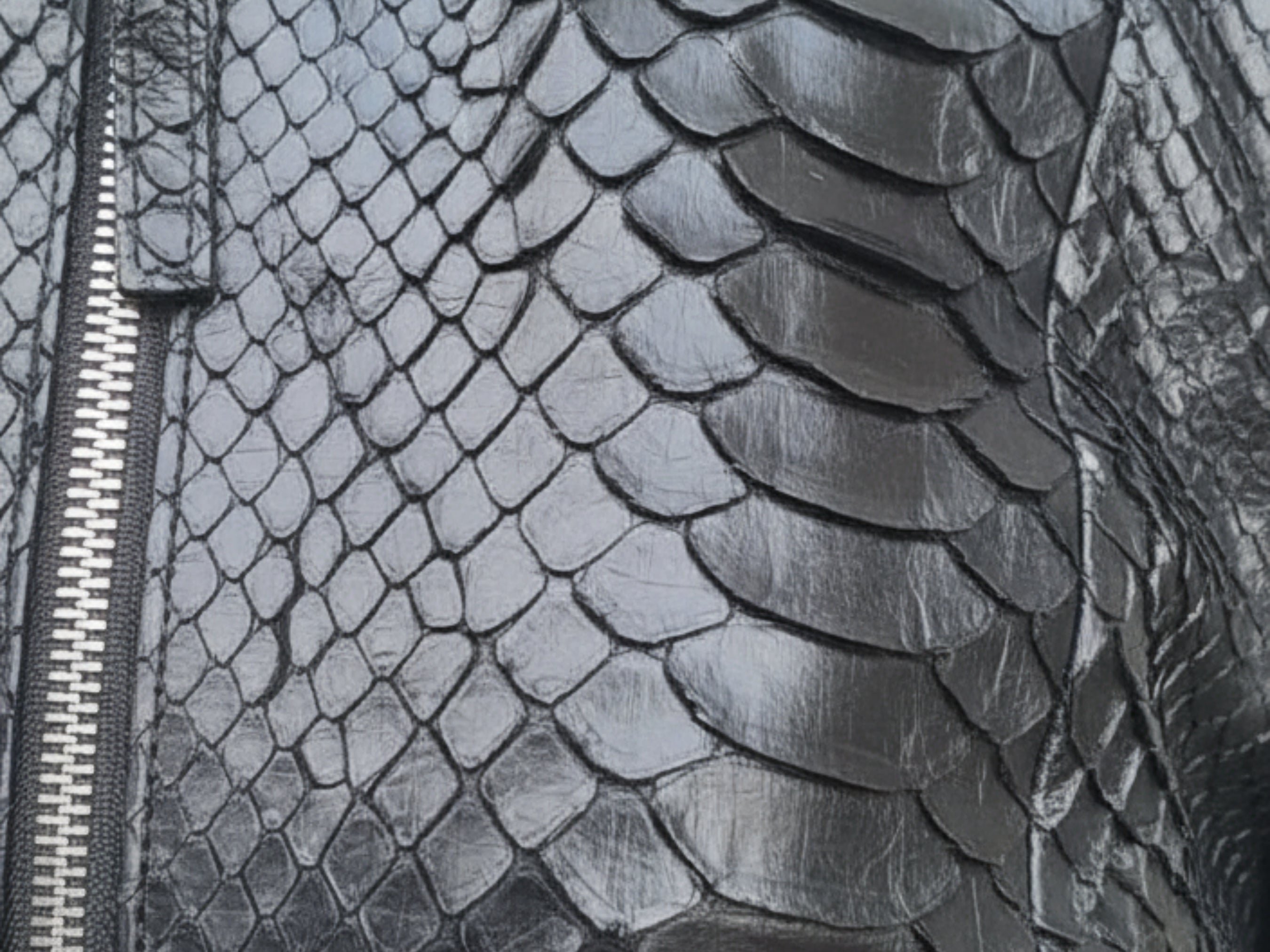 Close-up of snakeskin leather texture on dark leather jacket