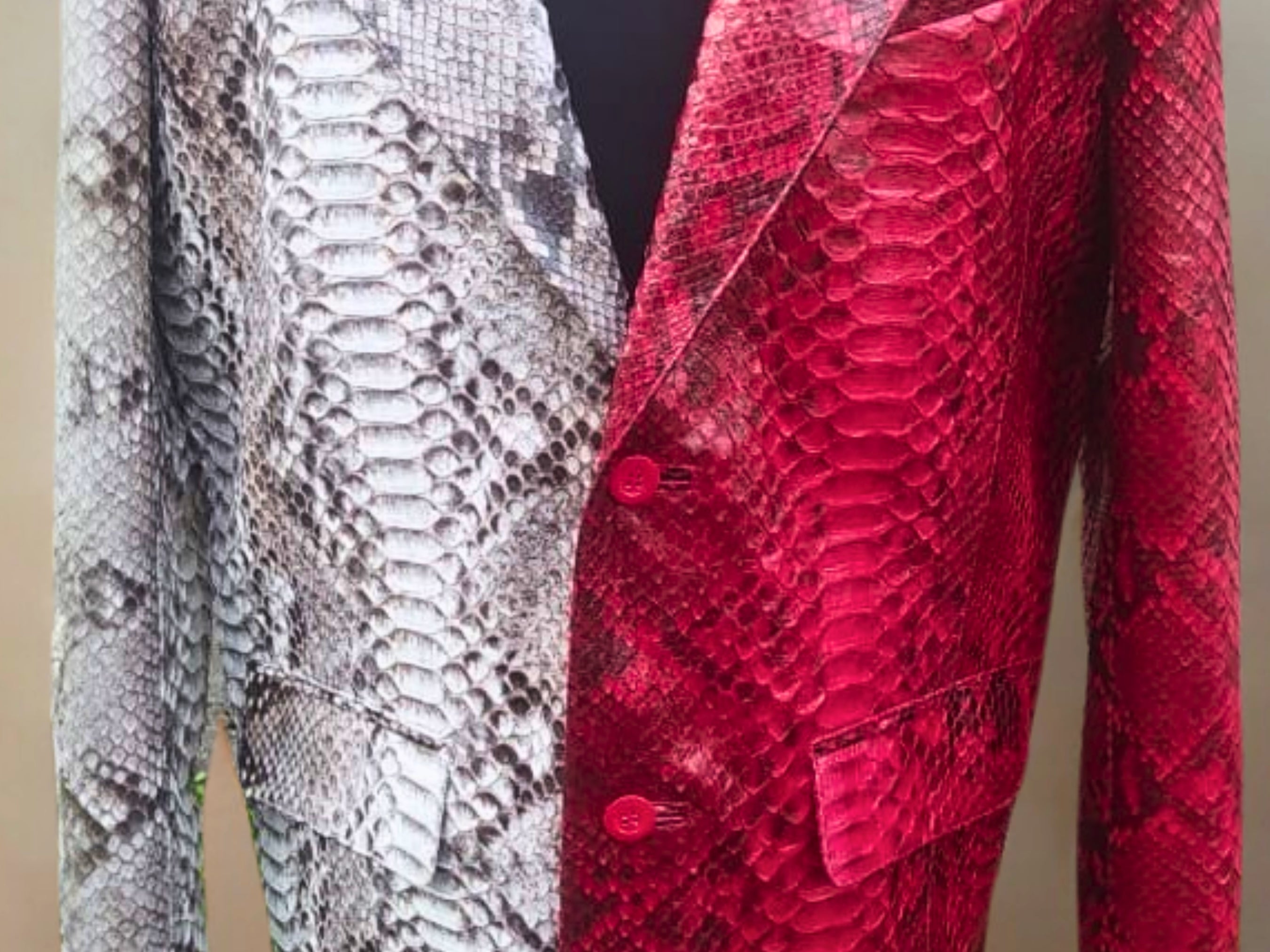Snakeskin blazer close-up, lapels and buttons with silver and red scale panels.