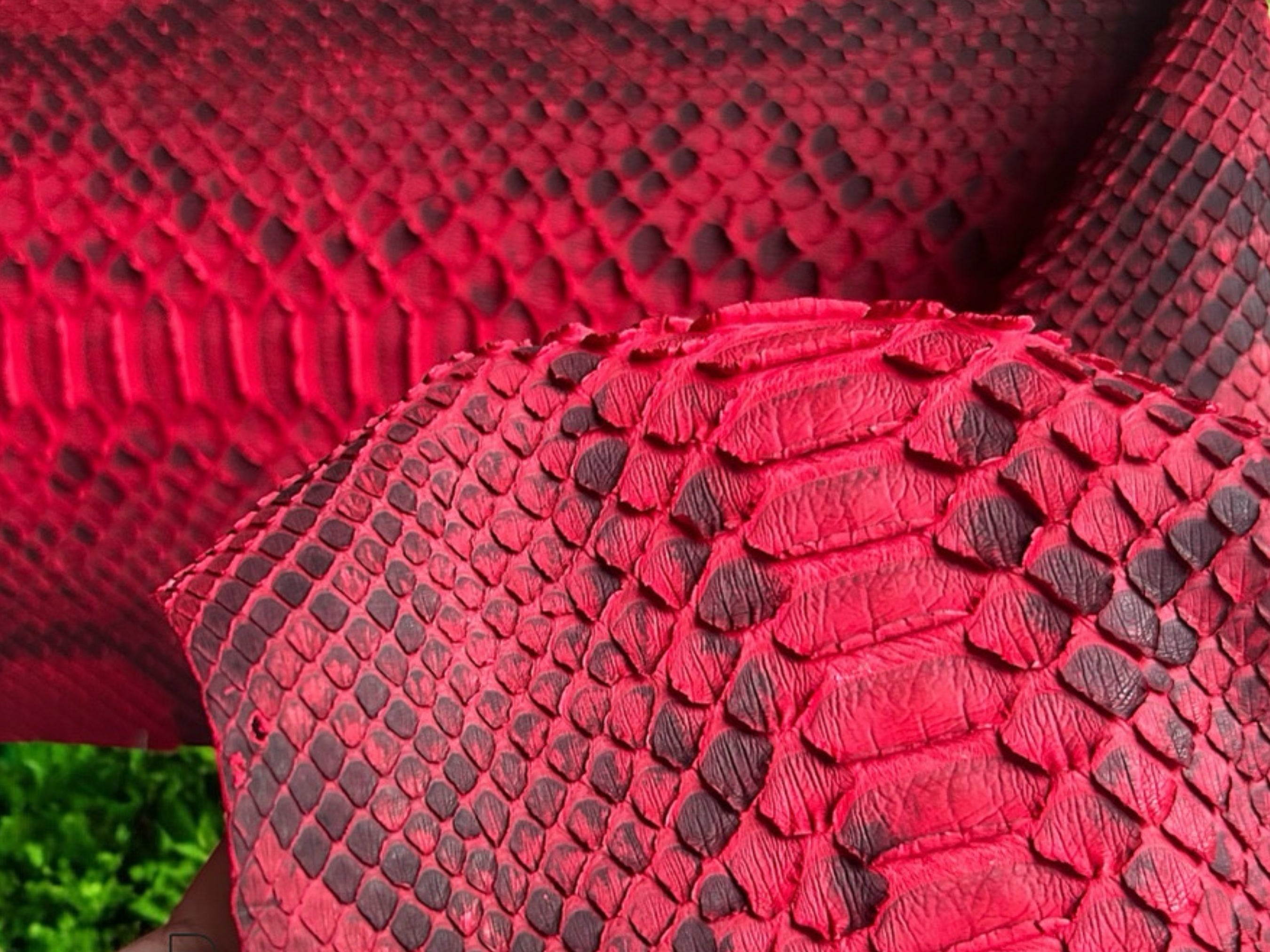 Close-up of red python snakeskin leather texture with raised scale pattern