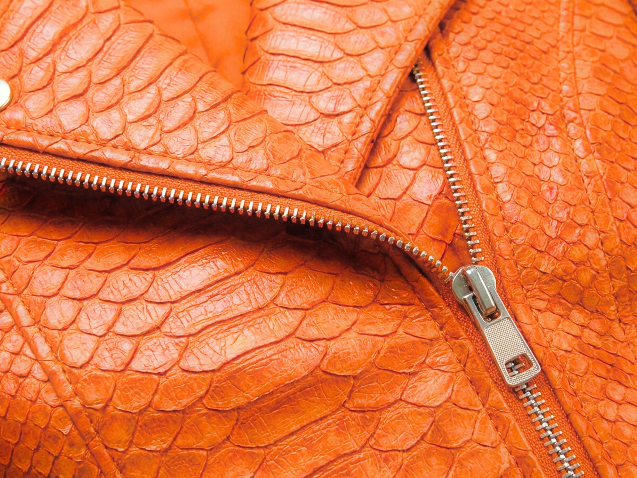 Close-up of burnt orange snakeskin-texture leather with silver zipper track inside panel