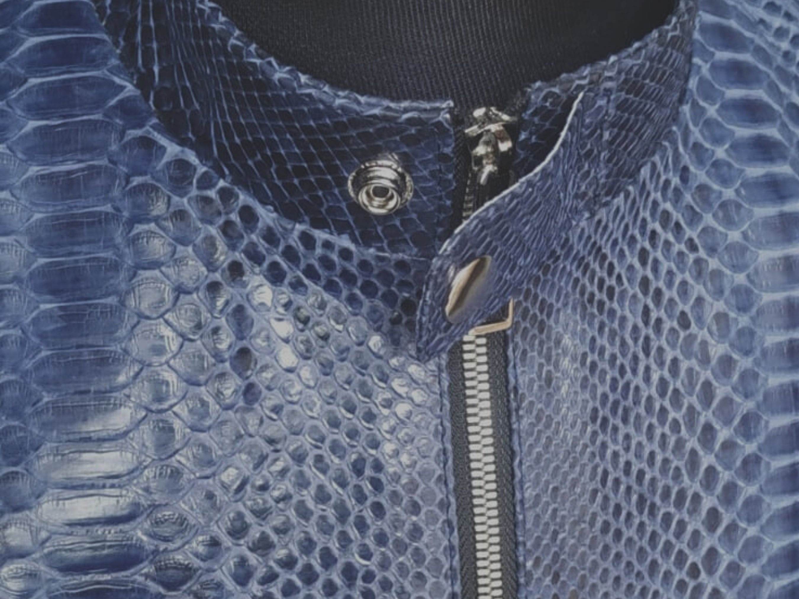 Blue snakeskin leather jacket collar and front zipper detail with snap tab
