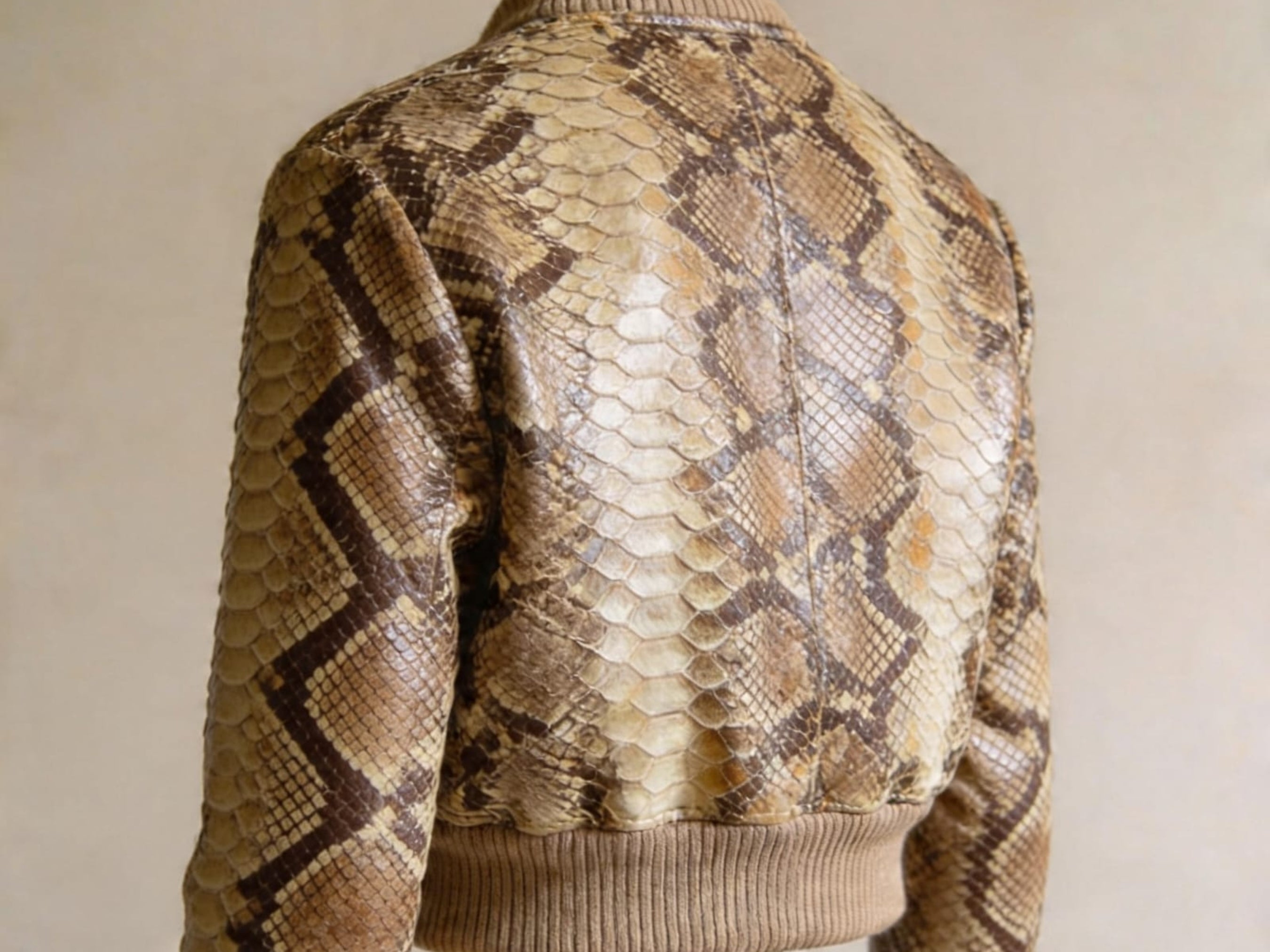 Snakeskin bomber jacket back view with ribbed waistband and full textured print