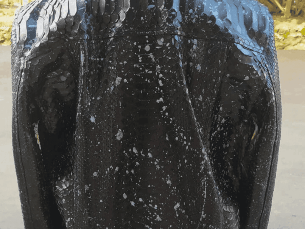 Black snakeskin-style zip hoodie jacket close-up of front torso texture