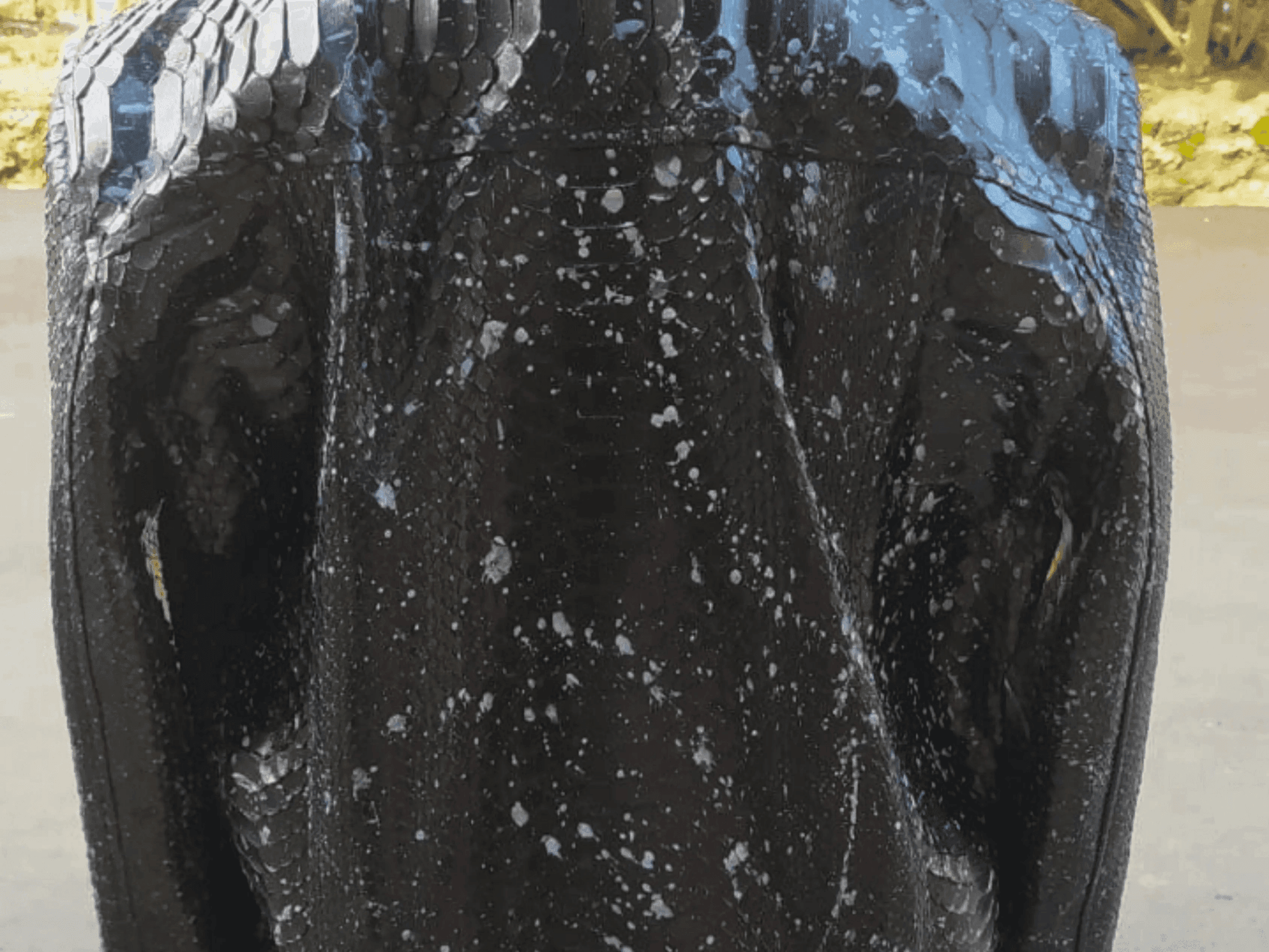 Black snakeskin-style zip hoodie jacket close-up of front torso texture