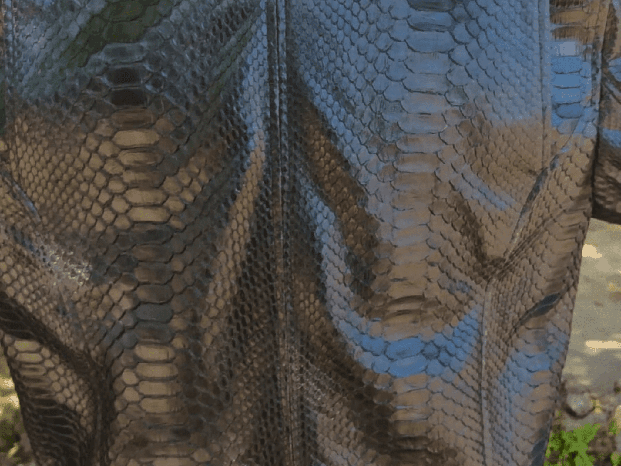 Glossy python-skin leather scale pattern close-up on jacket front panels