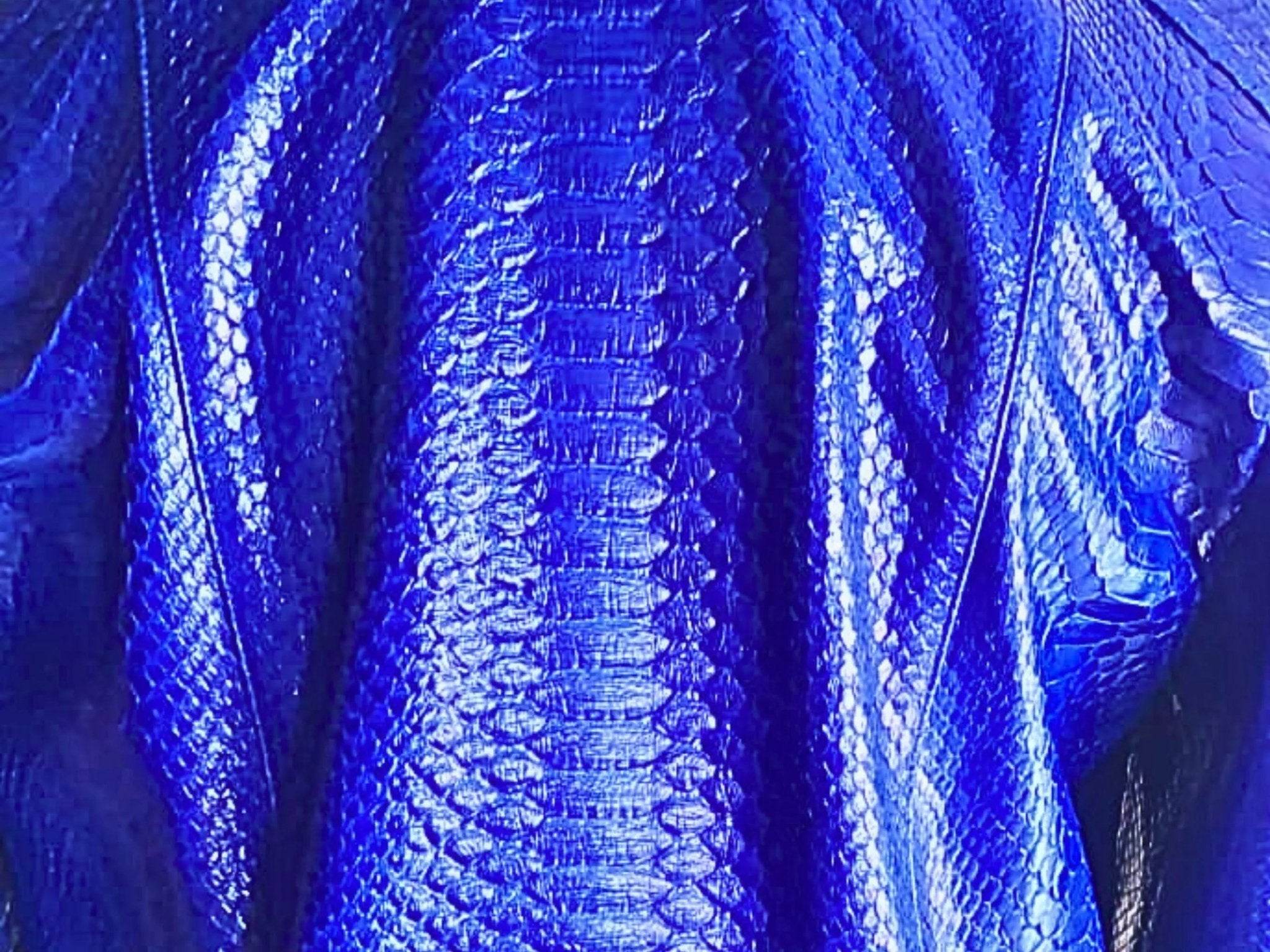Blue python leather jacket close-up, embossed snake-skin texture and ribbed panels
