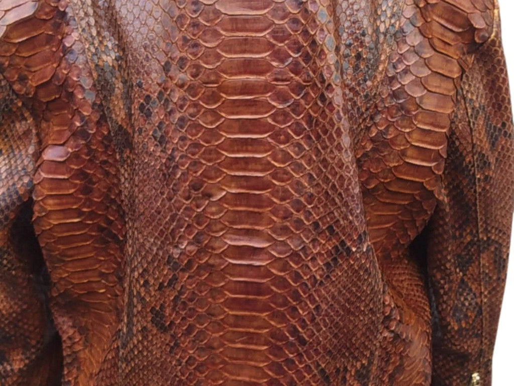 Brown snake-scale leather jacket center panel with horizontal raised stripe lines