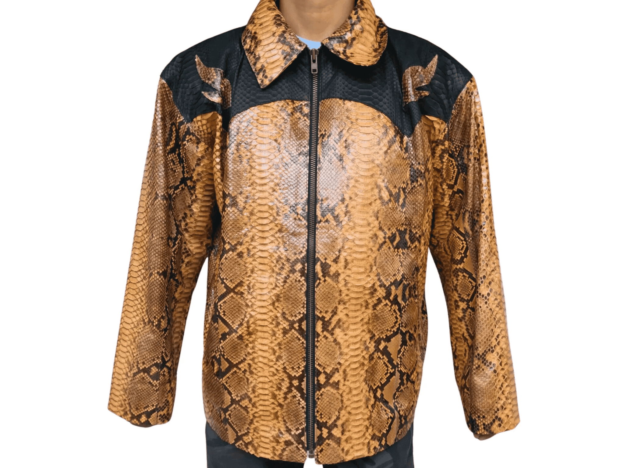 Python snakeskin leather jacket, full front view with zipper and black-trimmed collar