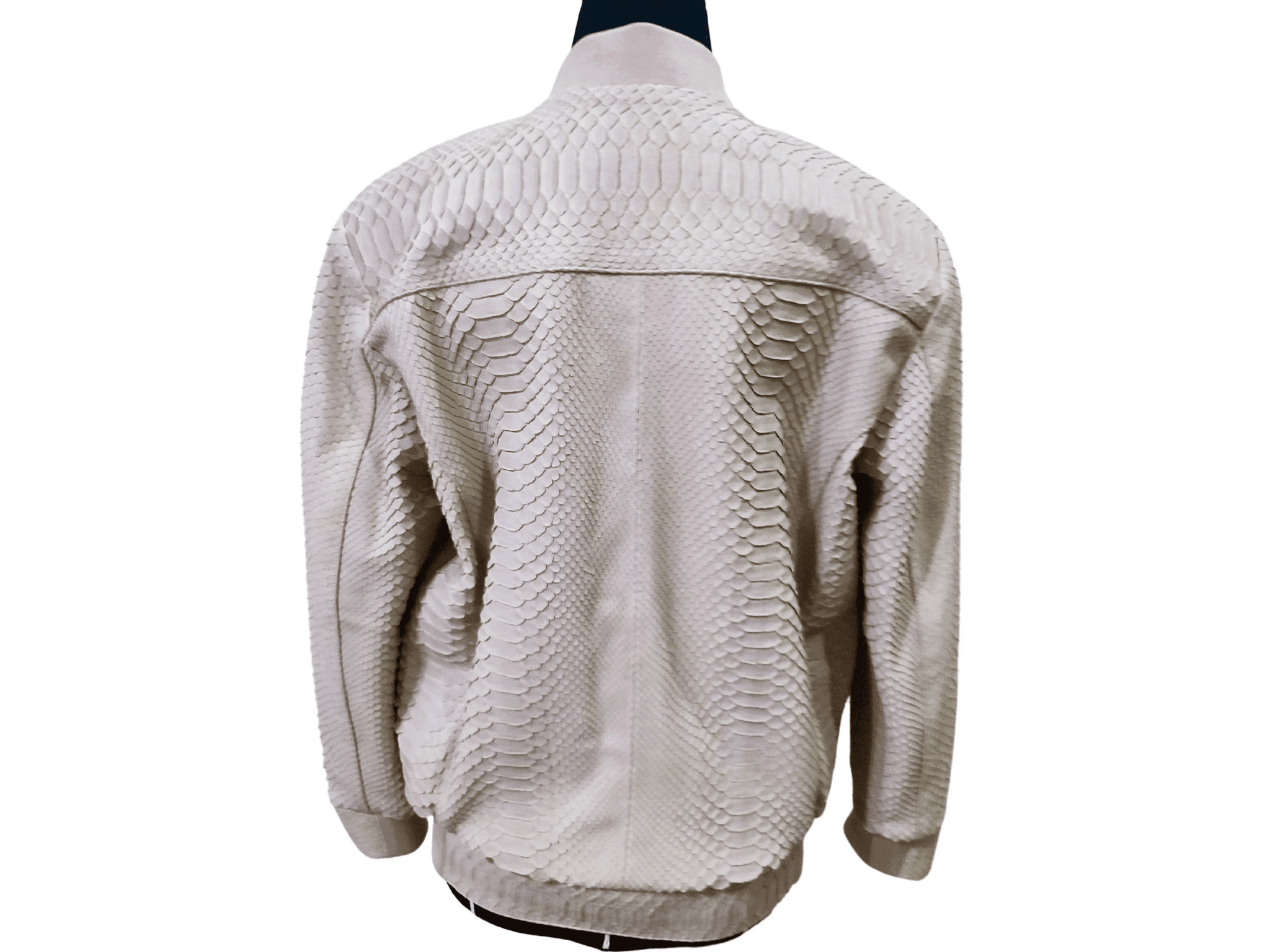 Cream python snakeskin bomber leather jacket back view with stand collar and ribbed hem