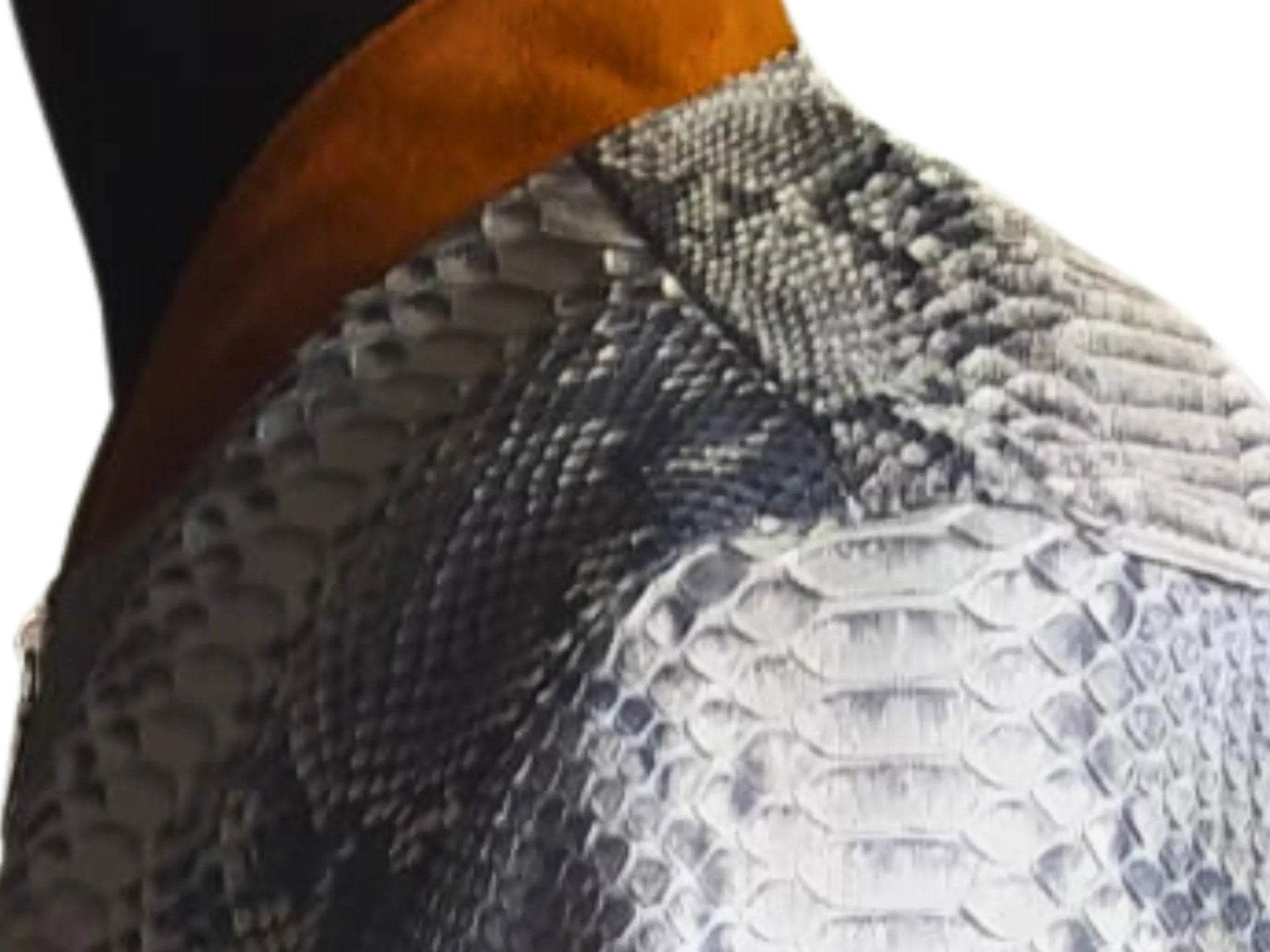 Python jacket close-up, gray-and-silver snake-texture with visible front zipper seam