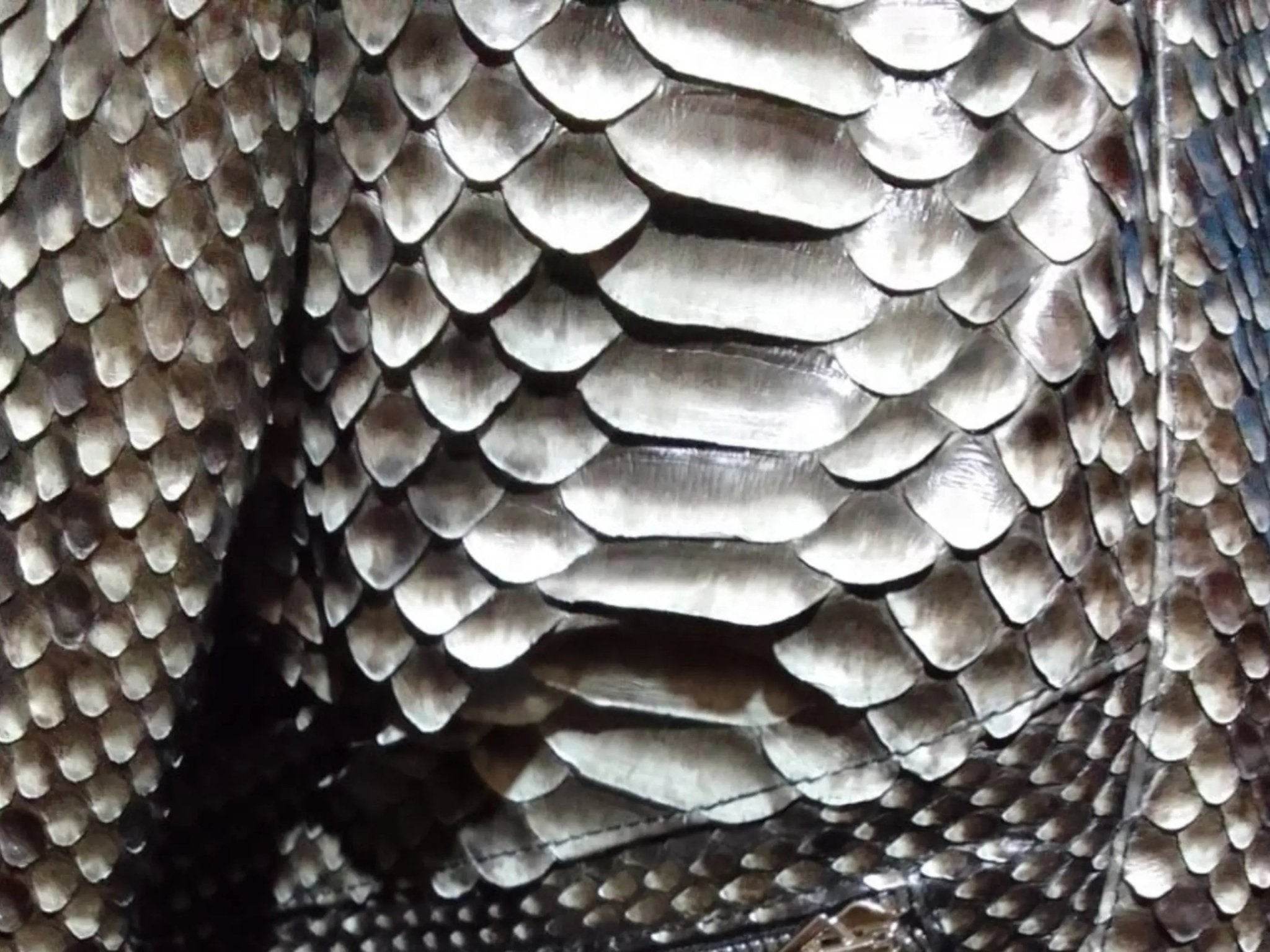 Close-up of metallic scale-pattern leather jacket fabric texture in silver tones